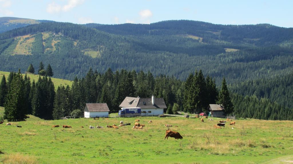 Pension Andrea Sankt Peter im Sulmtal Exteriör bild