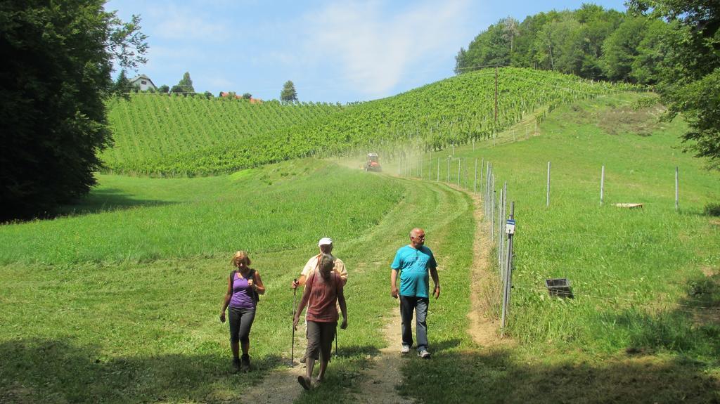 Pension Andrea Sankt Peter im Sulmtal Exteriör bild